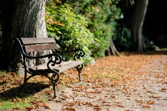 Sitzbank in einem Friedhofspark im Herbst